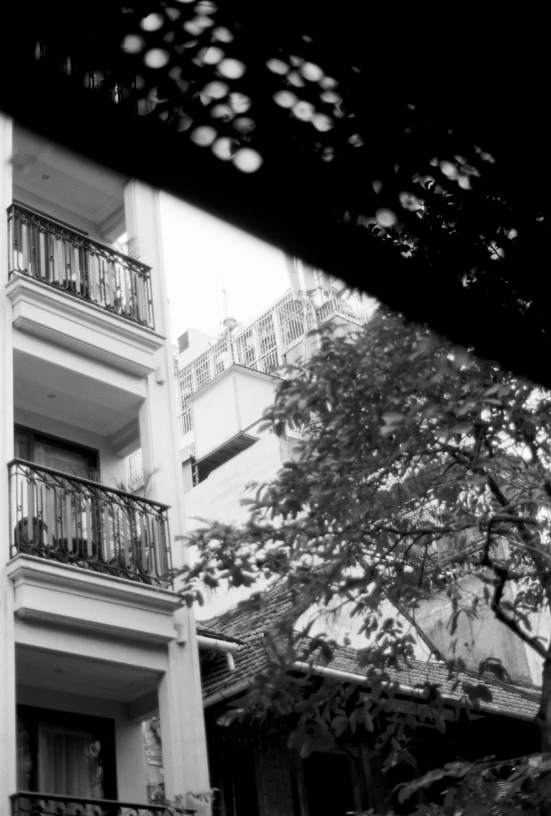 White balconies and tiled roofs appear between dense dark leaves in black and white