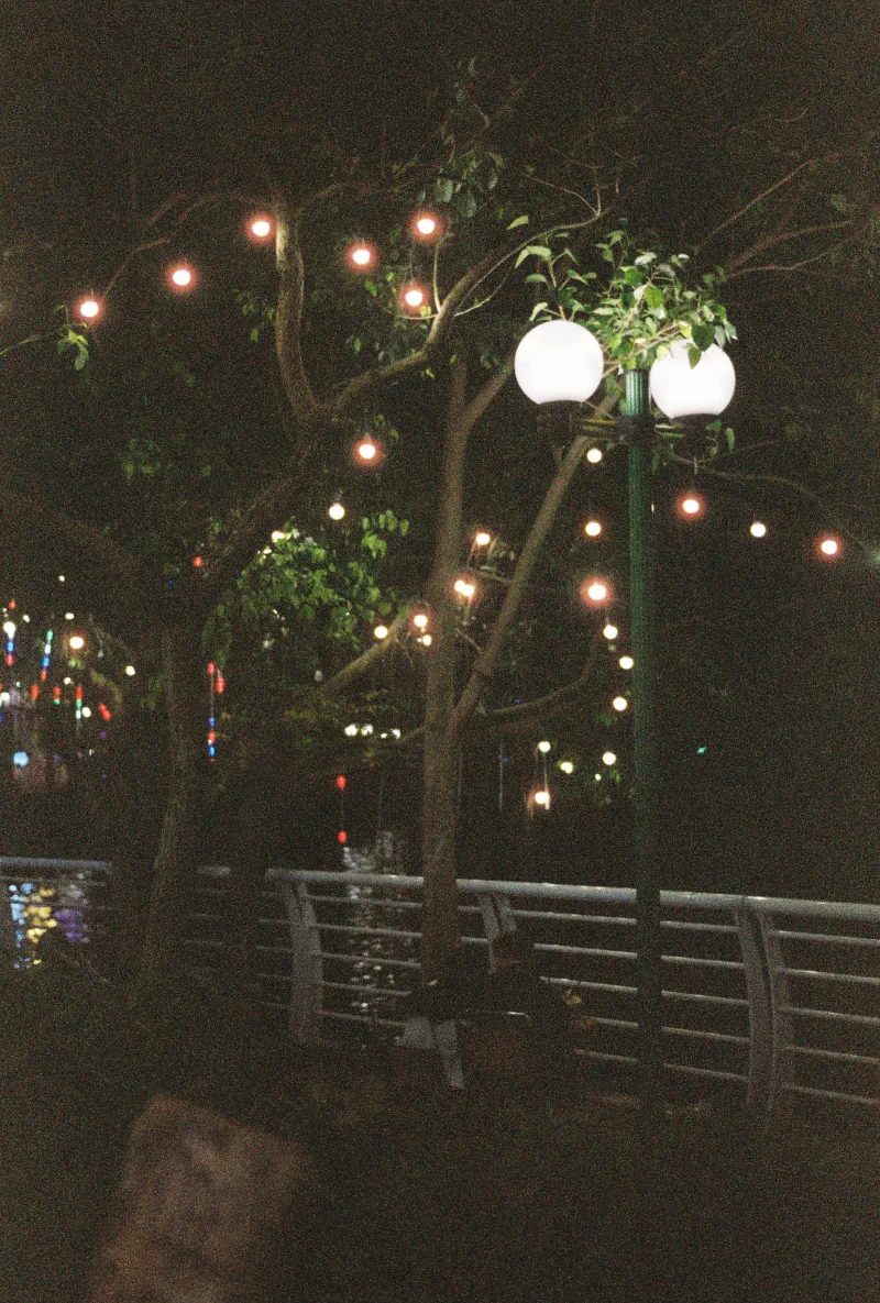 Small warm bulbs and white globe lamps hang among dark trees beside a lakeside railing